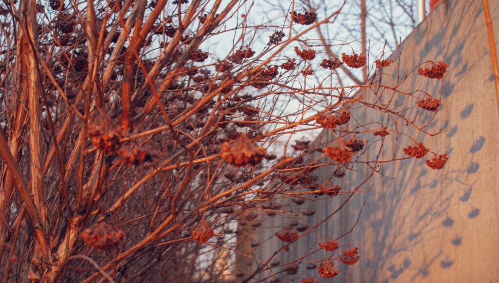 maks_d-7ZDx5dhz_0o-unsplash