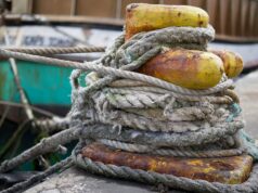 Ιστορία ενός καβοδέτη της Άννας Μανούκα (Για το βιβλίο Ιστορία ενός καβοδέτη, της Ελένης Κοσμά, εκδ. Πόλις 2025)